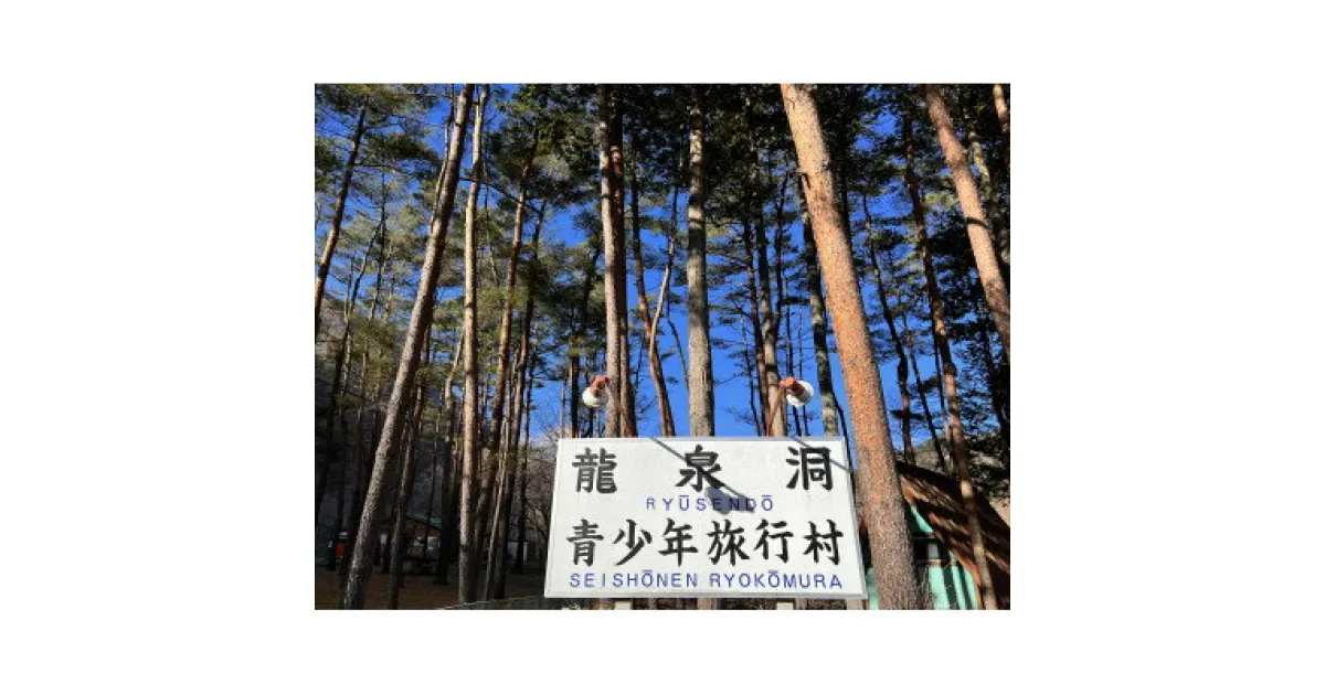 【ふるさと納税】岩手県岩泉町　龍泉洞旅行村フリーサイトで野営を楽しめるキャンプ場「キャンプ場利用券(テント1張分)」【1499671】