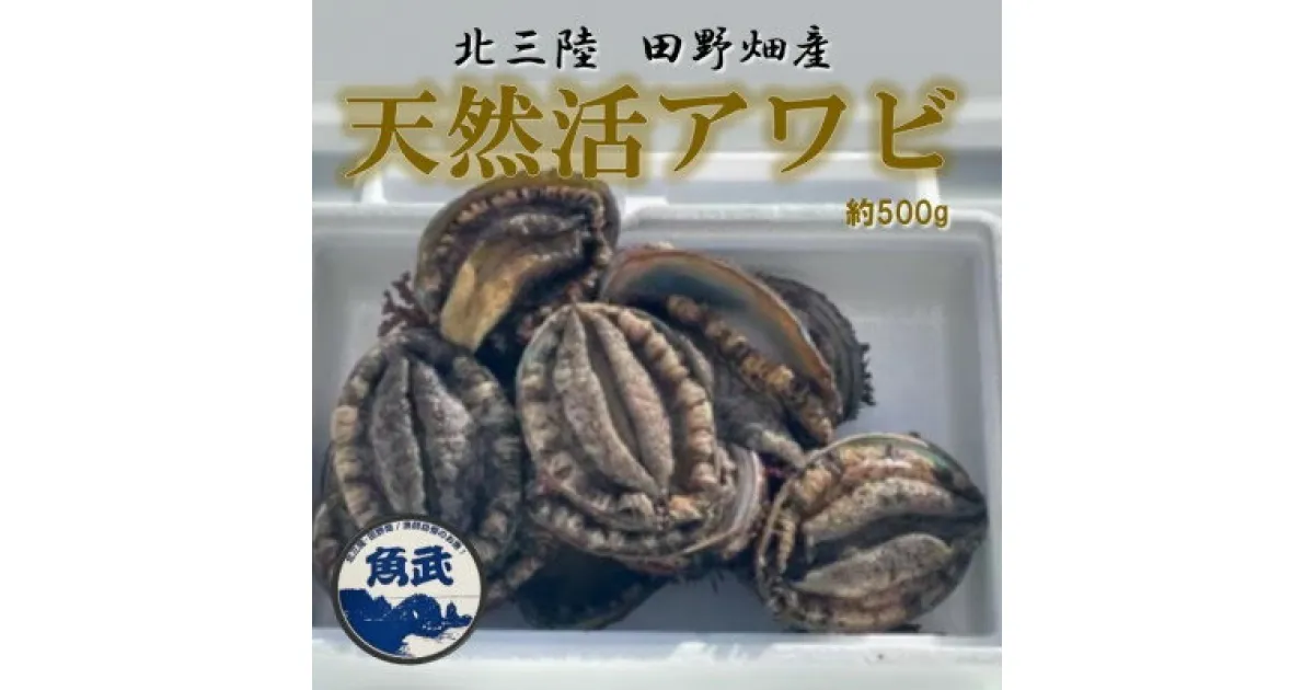 【ふるさと納税】貝の王様!【北三陸田野畑産】天然活アワビ　約500g【配送不可地域：離島・沖縄県・九州】【1512890】