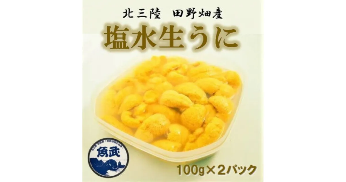 【ふるさと納税】【令和7年6月下旬～順次発送】岩手県田野畑産 無添加塩水生うに 100g×2パック 産地直送【配送不可地域：離島・沖縄県・九州】【1536899】