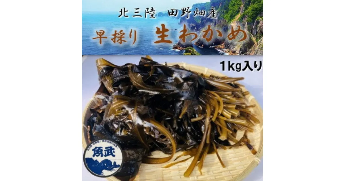 【ふるさと納税】【期間限定】早採り生わかめ 1kg【配送不可地域：離島・沖縄県・九州】【1482533】