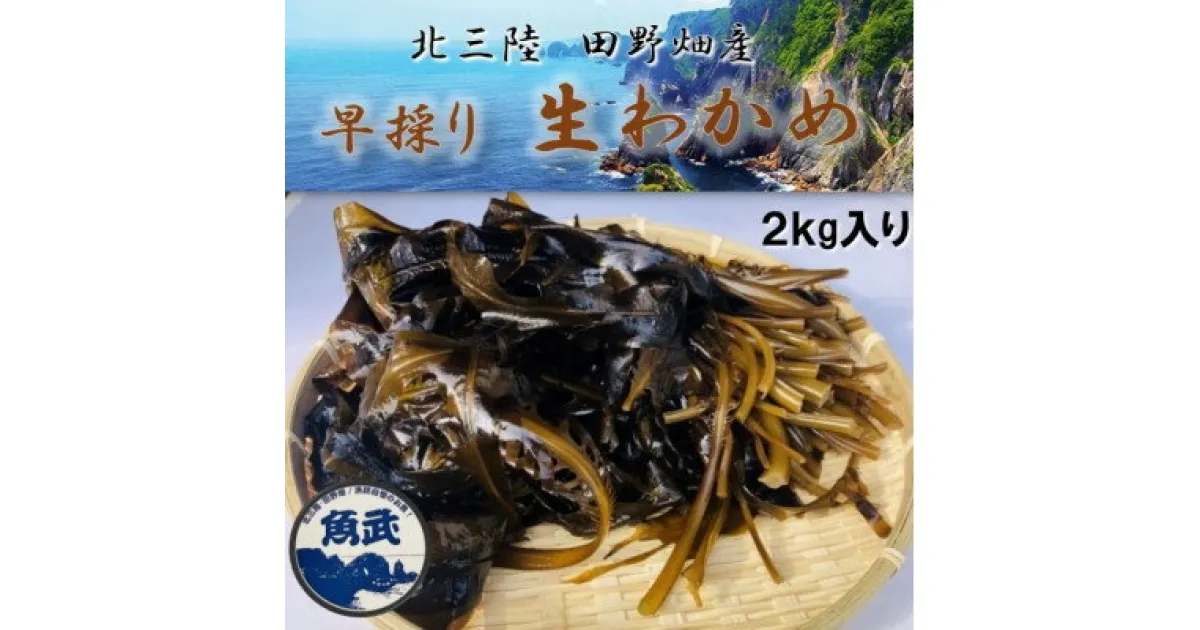 【ふるさと納税】【期間限定】早採り生わかめ 2kg【配送不可地域：離島・沖縄県・九州】【1541215】