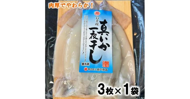 【ふるさと納税】 イカ いか 北三陸産 真イカの一夜干し 3枚入り×1袋 いか一夜干し イカ焼き イカ飯 BBQ イカゲソ