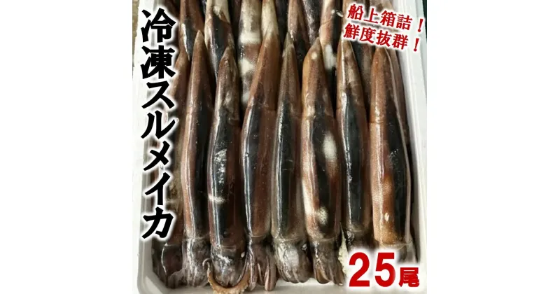 【ふるさと納税】 イカ 冷凍スルメイカ25尾入り 鮮度抜群！いか スルメイカ 魚介 海鮮 海の幸 新鮮 鮮度抜群 刺身 塩辛 イカフライ 煮物 姿焼き げそ イカゲソ いかめし イカ焼き いか天 焼き物 天ぷら