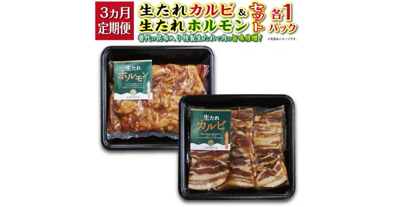 【ふるさと納税】 焼肉 豚【定期便】生たれカルビ＆生たれホルモン(各1パック） 焼肉用 3カ月連続お届け