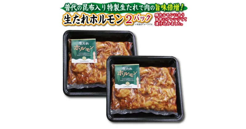 【ふるさと納税】 焼肉 豚 普代の昆布でお肉もよろコンブ♪生たれホルモン450g×2パック 計 900g