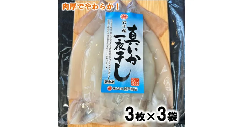 【ふるさと納税】 イカ いか 北三陸産 真イカの一夜干し 3枚入り×3袋 いか一夜干し イカ焼き イカ飯 BBQ イカゲソ