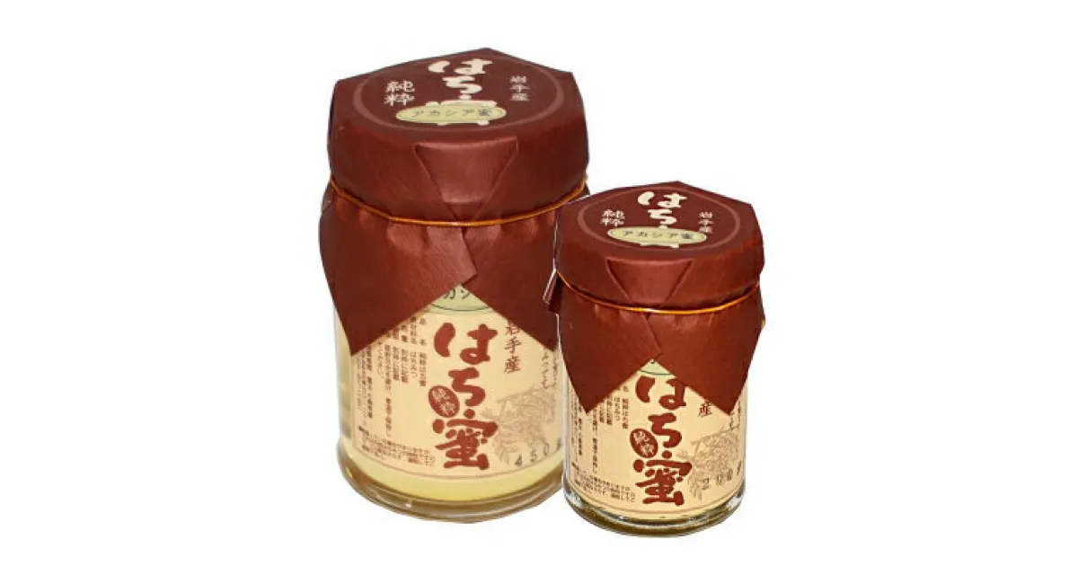 【ふるさと納税】【100%軽米町産】天然ハチミツセット(アカシア蜜の450g1本と200g1本)【1070547】