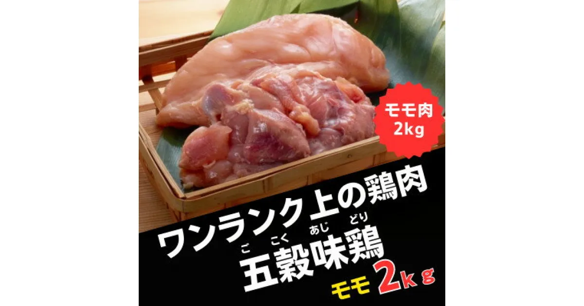 【ふるさと納税】五穀味鶏(ごこくあじどり)モモ肉2kg【配送不可地域：離島】【1435709】