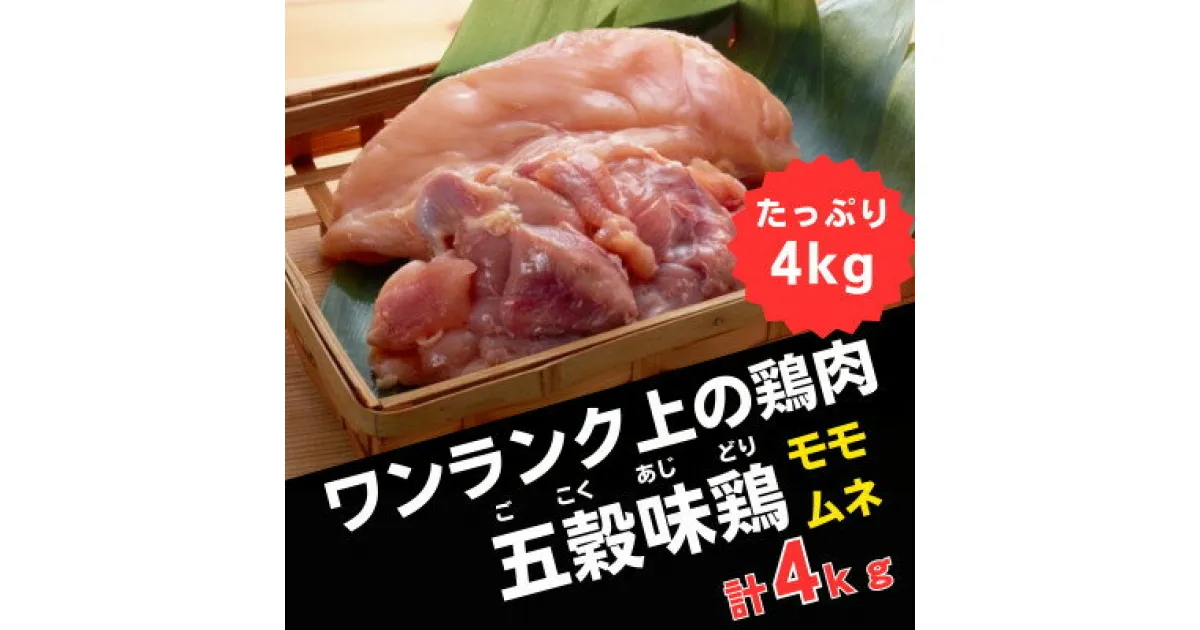 【ふるさと納税】五穀味鶏(ごこくあじどり)モモ肉・ムネ肉 各2kgセット(合計4kg)【配送不可地域：離島】【1435731】