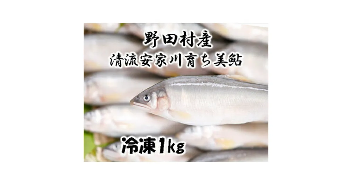 【ふるさと納税】野田村産　清流安家川育ちの美鮎　1kg【配送不可地域：離島】【1290000】