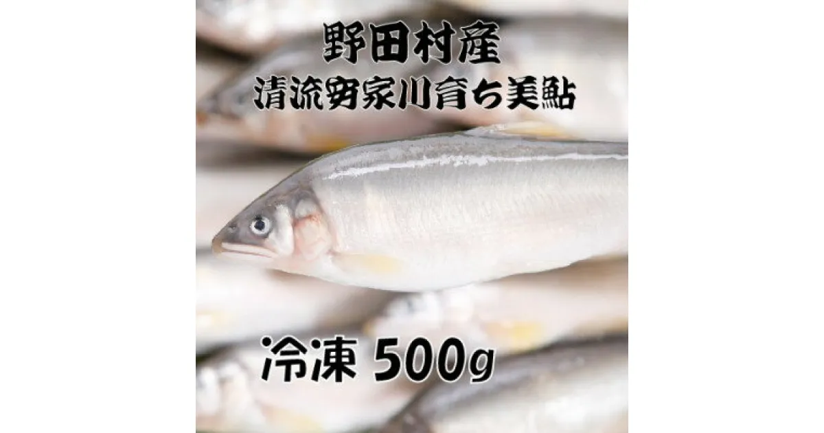 【ふるさと納税】野田村産　清流安家川育ち美鮎　500g【配送不可地域：離島】【1481002】