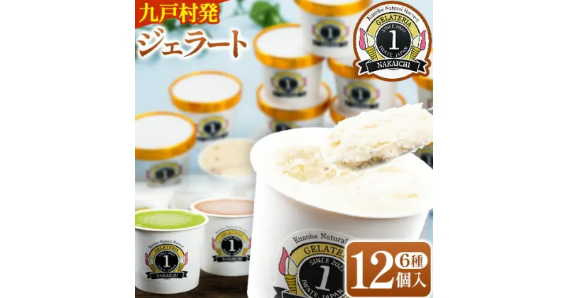 【ふるさと納税】ジェラート 6種 12個 バラエティーセット GELATERIA NAKAICHI《30日以内に出荷予定(土日祝除く)》岩手県 九戸村 ジェラート アイス ミルク チョコ 抹茶 リンゴ ラムレーズン