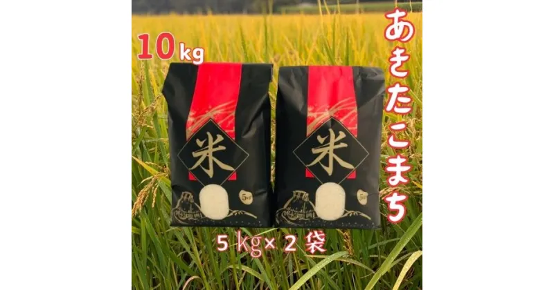 【ふるさと納税】【令和6年産】洋野町産あきたこまち10kg（5kg×2袋）