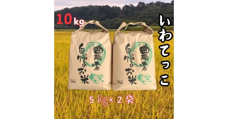 【ふるさと納税】【令和6年産】大野産いわてっこ10kg（5kg×2袋）