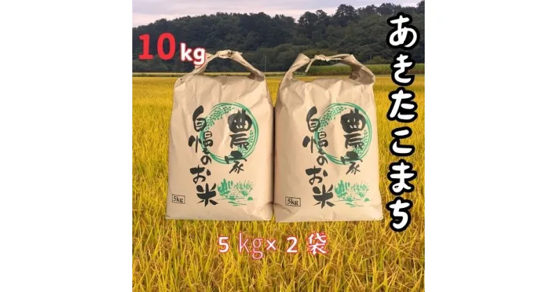 【ふるさと納税】【令和6年産】大野産あきたこまち10kg（5kg×2袋）