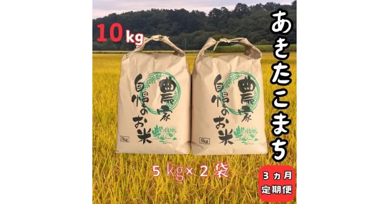 【ふるさと納税】【3ヵ月定期便】令和6年産大野産あきたこまち10kg（5kg×2袋）×3回