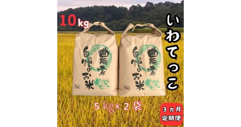 【ふるさと納税】【3ヵ月定期便】令和6年産大野産いわてっこ10kg（5kg×2袋）×3回