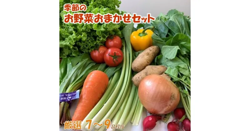 【ふるさと納税】季節のお野菜おまかせセット