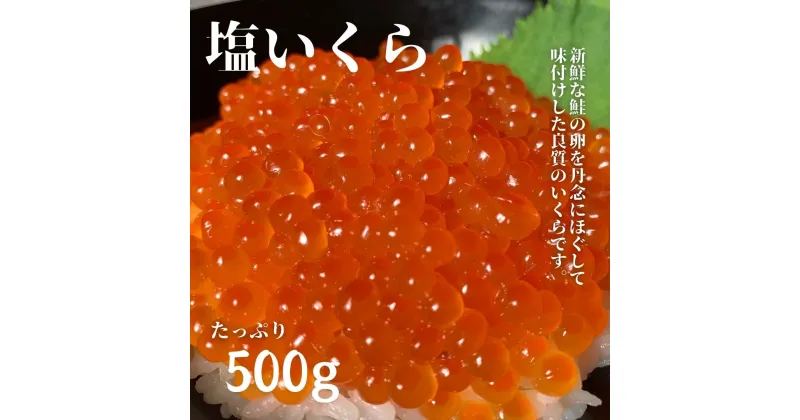 【ふるさと納税】塩いくら500g 鮭卵 イクラ塩漬け