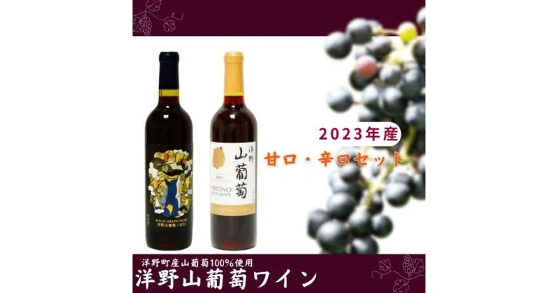 【ふるさと納税】【2023年産】洋野山葡萄ワイン720ml （ 甘口・ 辛口）各1本