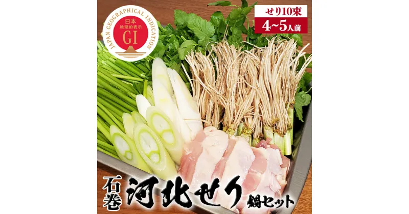 【ふるさと納税】鍋 せり鍋 ＜数量限定＞ 石巻伝統野菜「河北せり」鍋セット（4-5人前・河北せり10束） 宮城県産 セリ鍋 芹 根せり 根っこ GI登録 宮城県 石巻市 せり 長ねぎ パックご飯 スープ 鶏肉 セリ セリ鍋 河北せり 野菜 鍋