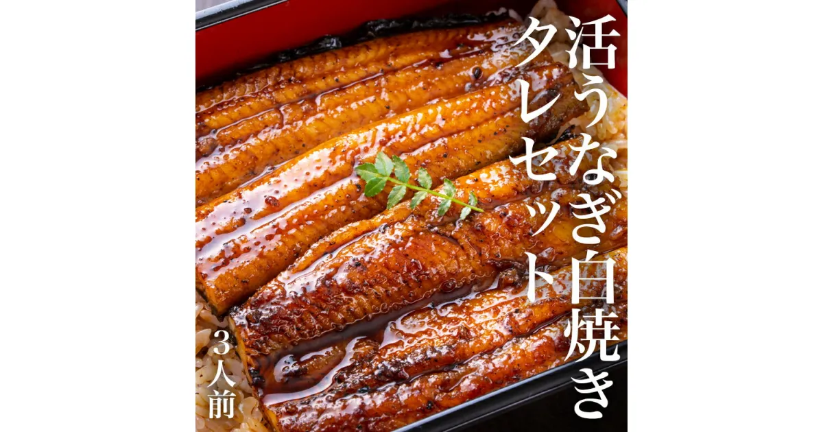 【ふるさと納税】鰻 国産うなぎ 白焼き 3串（約110g×3）タレ付き 冷蔵 土用丑の日 国産 白焼き 蒲焼き 鰻重 鰻丼 父の日 宮城県 石巻市