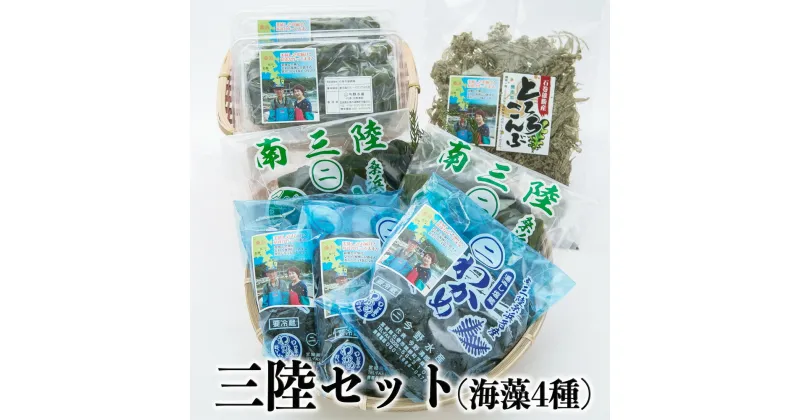 【ふるさと納税】今野水産の三陸セット(海藻4種）塩蔵 わかめ 昆布 とろろこんぶ 茎わかめ 宮城