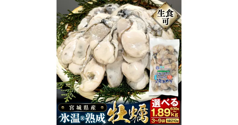 【ふるさと納税】【数量限定】牡蠣 宮城県産 氷温熟成 かき 生食用（冷凍）3袋〜9袋（1袋 210g） 小分け 冷凍 バラバラ冷凍