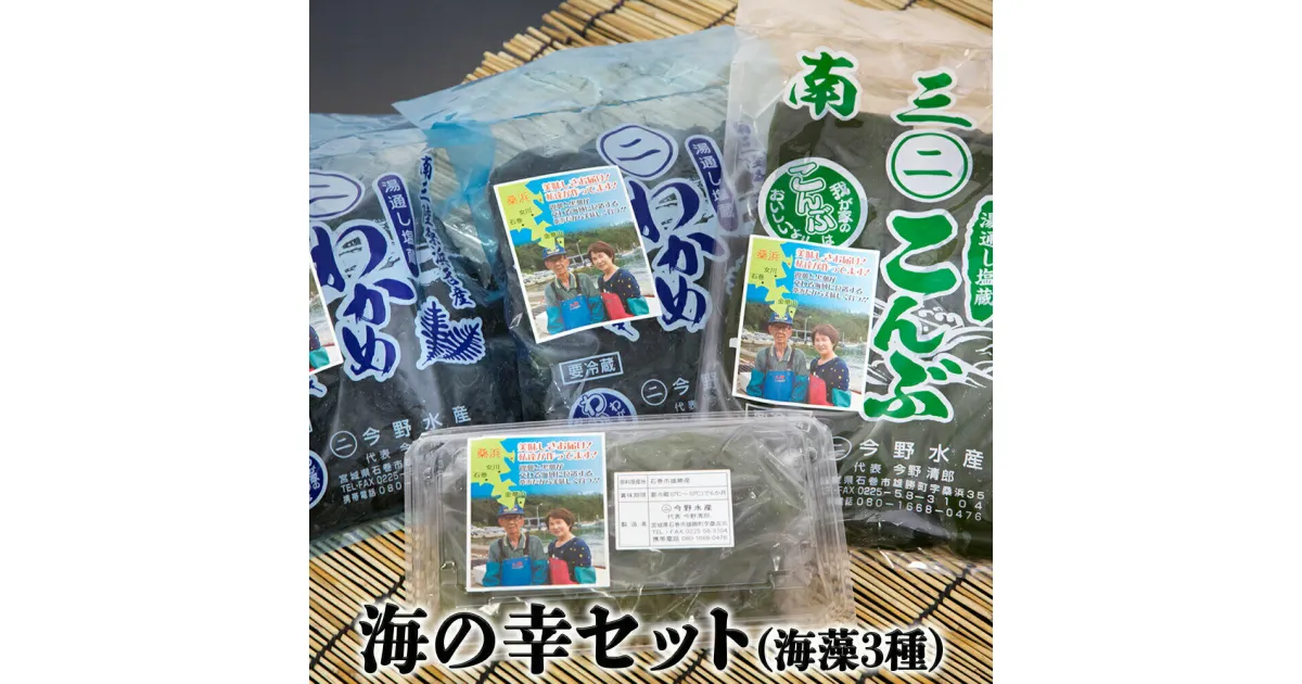 【ふるさと納税】今野水産の海の幸（わかめ・こんぶ）セット 塩蔵 茎わかめ 宮城 塩蔵わかめ 塩蔵こんぶ 昆布