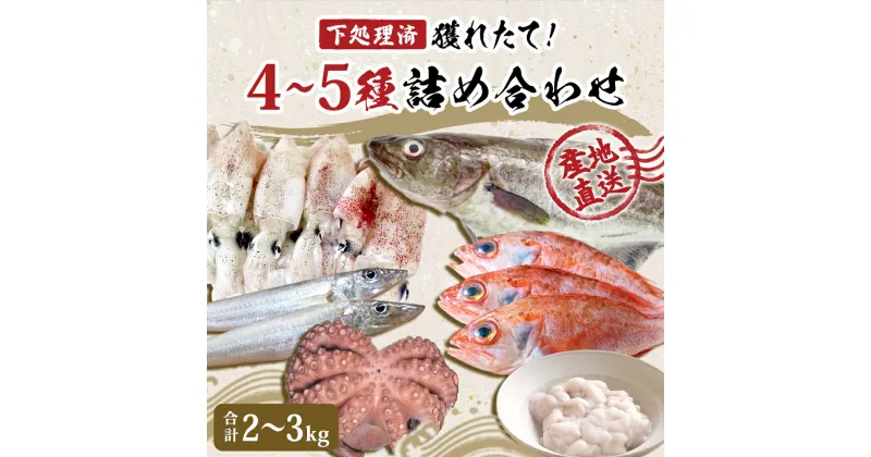 【ふるさと納税】鮮魚 宮城県産 漁師直送! 鮮魚詰め合わせ 2～3kg（4～5種）下処理済み お楽しみ 鮮魚ボックス 宮城県 石巻市 山神丸 送料無料