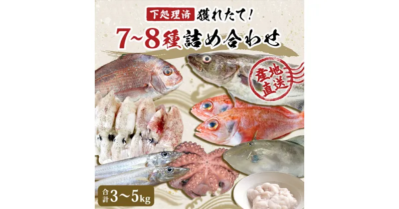 【ふるさと納税】鮮魚 宮城県産 漁師直送! 鮮魚詰め合わせ 3～5kg（7～8種） 下処理済み お楽しみ 鮮魚ボックス 宮城県 石巻市 山神丸 送料無料