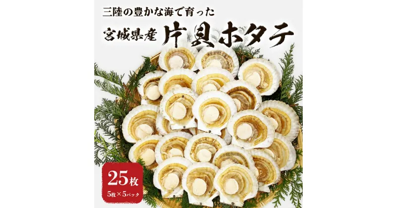 【ふるさと納税】ホタテ 宮城県産 大粒 片貝ホタテ 25枚 冷凍 加熱用 下処理済み 小分け 殻付きほたて 殻付きホタテ 帆立 ほたて バーベキュー BBQ おつまみ 送料無料 浜焼き 海鮮 新鮮 帆立貝 貝柱 宮城県 石巻市 カネキ水産