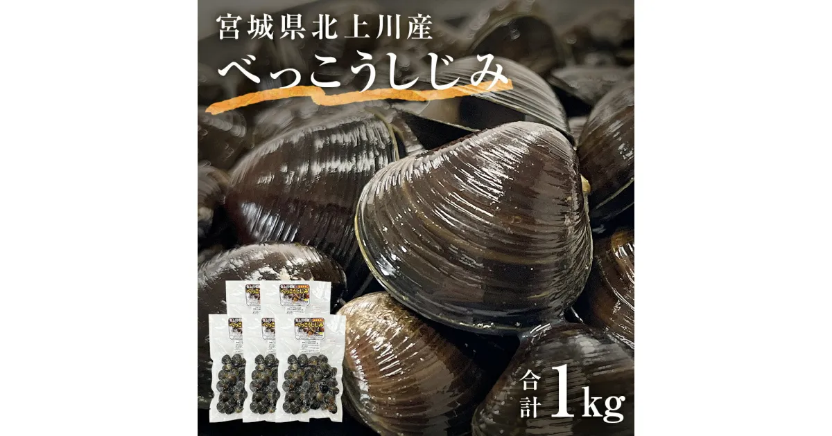 【ふるさと納税】しじみ 北上川のべっこうしじみ 1kg（200g×5） 冷凍 小分け しじみ汁 味噌汁 宮城県 石巻市