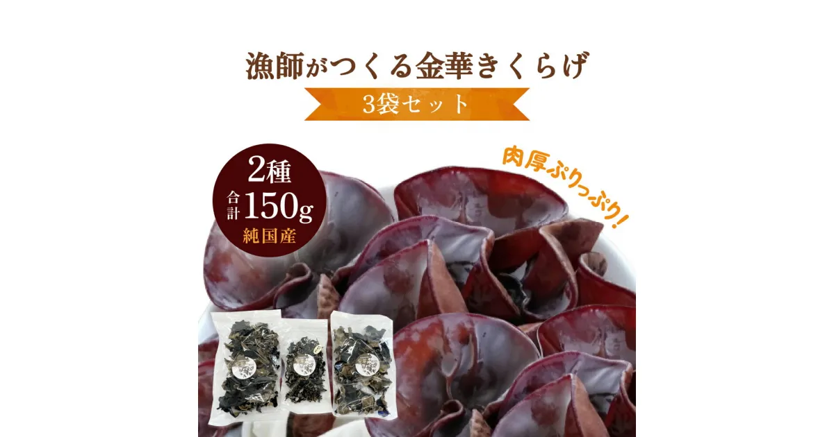 【ふるさと納税】漁師がつくる金華きくらげ（乾燥）（大）60g×2袋 30g×1袋 合計3袋セット