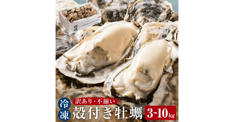 【ふるさと納税】牡蠣 〈 訳あり 〉冷凍 殻付き 牡蠣 3~10kg 三陸産 不揃い カキ かき 加熱用 カンカン焼き ガンガン焼き 蒸し牡蠣 カキ 真牡蠣 BBQ 浜焼き バーベキュー 新鮮 急速冷凍 宮城県 石巻市