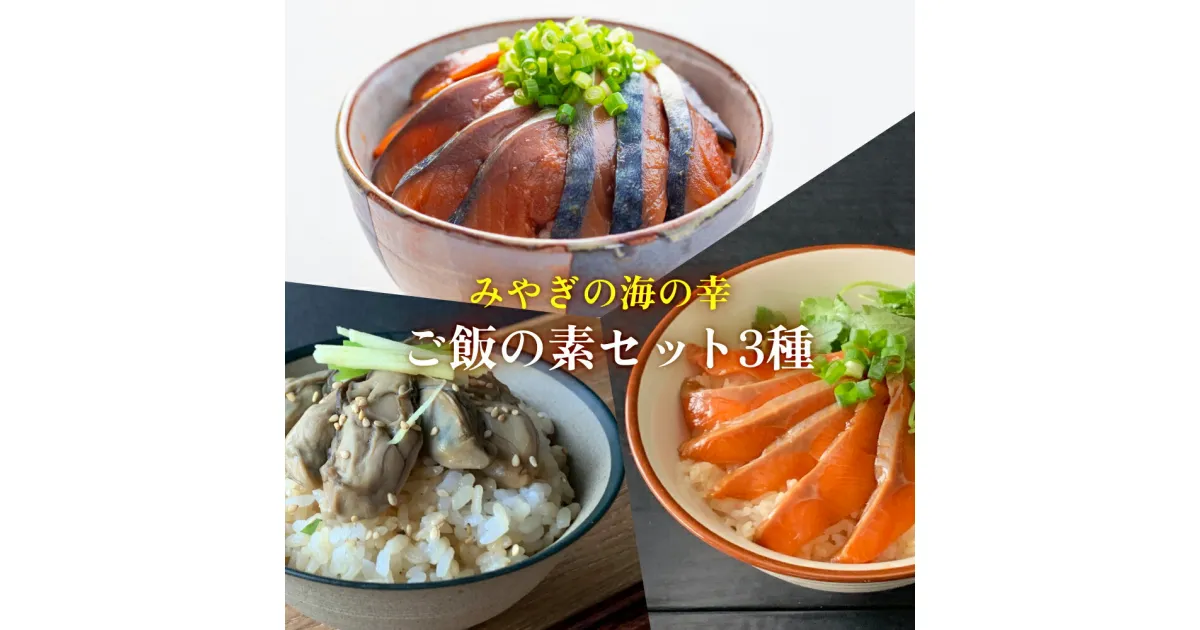 【ふるさと納税】みやぎの海の幸 ごはんの素3種セット 金華さば みやぎサーモン 漬け丼 カンタン調理 牡蠣 炊き込み 混ぜ込み 宮城 石巻 本田水産