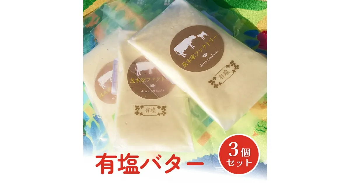 【ふるさと納税】酪農家が作った 自家製バター (有塩) 100g×3個 有塩バター 塩分控えめ 搾りたて生乳使用 手作り バター 宮城県 石巻市