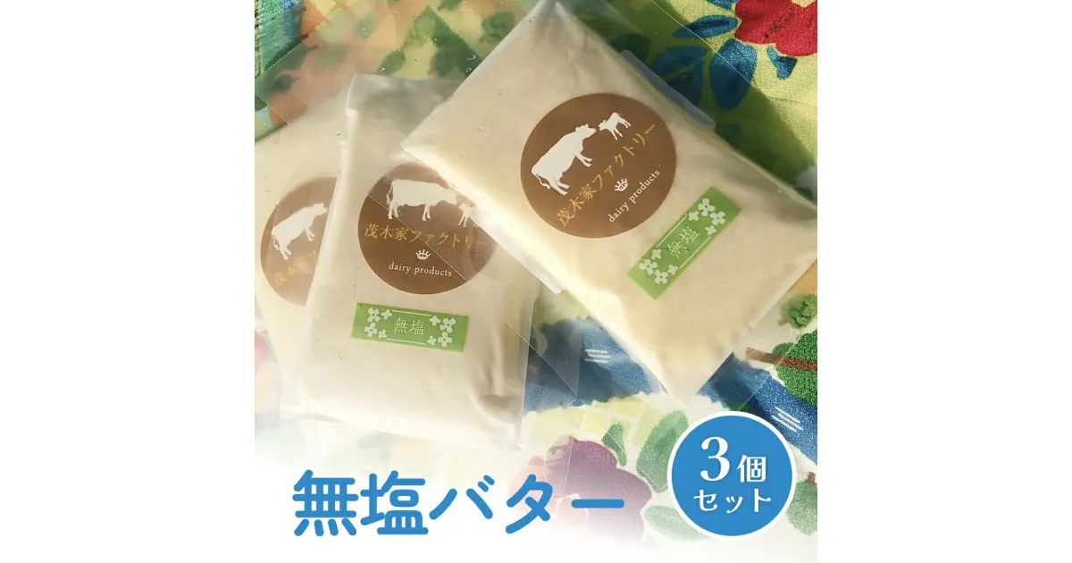 【ふるさと納税】酪農家が作った 自家製バター (無塩) 100g×3個 無塩バター 搾りたて生乳使用 手作り バター 宮城県 石巻市