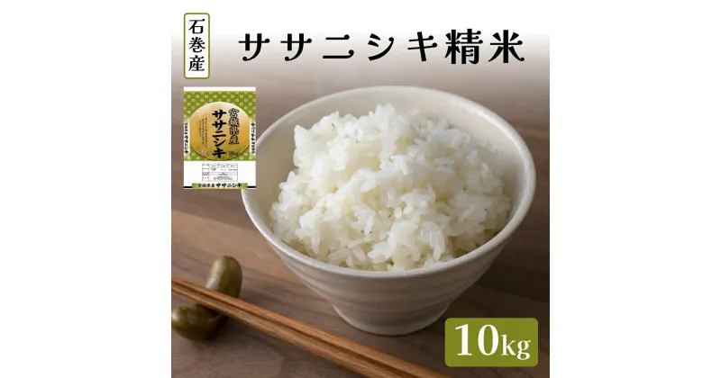 【ふるさと納税】令和6年度産 ササニシキ精米10kg お米 米 ごはん ご飯 飯 一等米 単一銘柄米 主食 美味しい