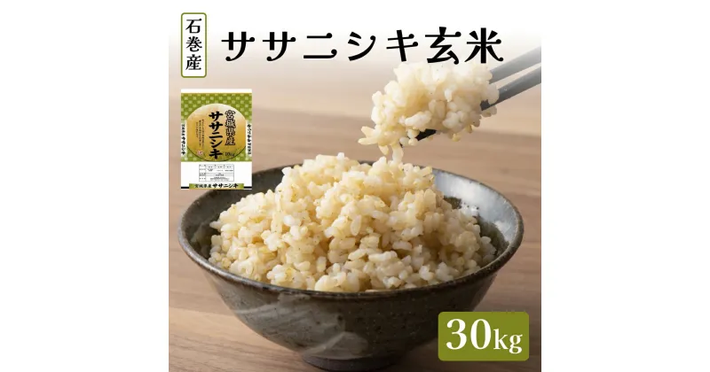 【ふるさと納税】令和6年度産 ササニシキ玄米30kg お米 米 ごはん ご飯 飯 一等玄米 単一銘柄米 主食 美味しい