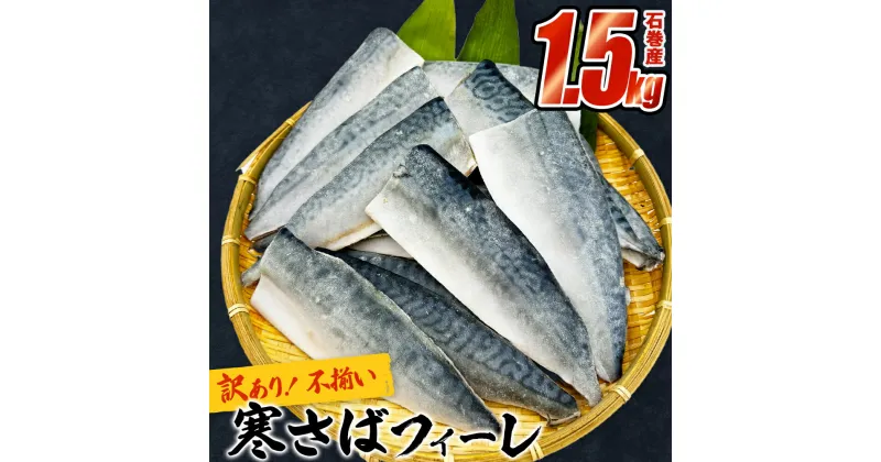 【ふるさと納税】さば 〈 訳あり 〉配送時期が選べる 宮城県産 寒さば フィーレ 無塩 1.5kg 冷凍 魚 青魚 鯖 切身 焼魚 煮魚 わけあり 不揃い ご家庭用 食塩無添加 国産 鯖フィレ サバフィーレ 切り身 バラバラ冷凍 鯖の味噌味 宮城県 石巻市