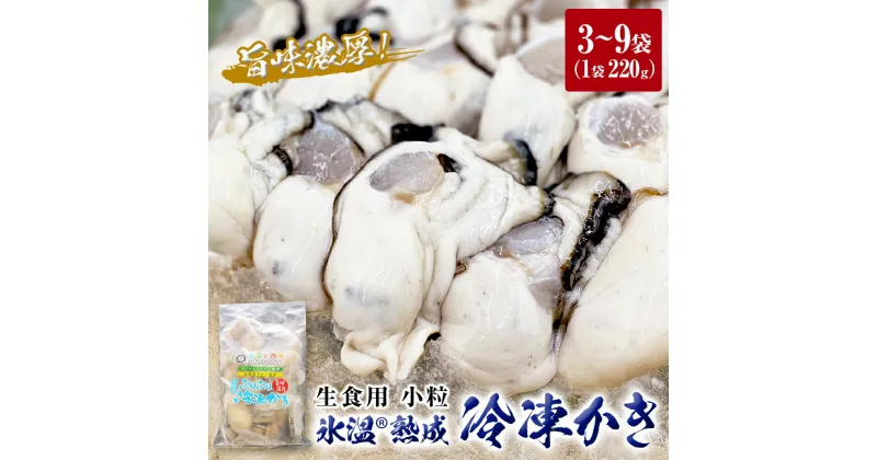 【ふるさと納税】牡蠣 氷温熟成 冷凍 かき ( 生食用 ) 小粒 220g× 3～9パック 選べる カキ 冷凍牡蠣 冷凍 生食 国産 北海道産 生 剥き牡蠣 濃厚 旨味 むき身