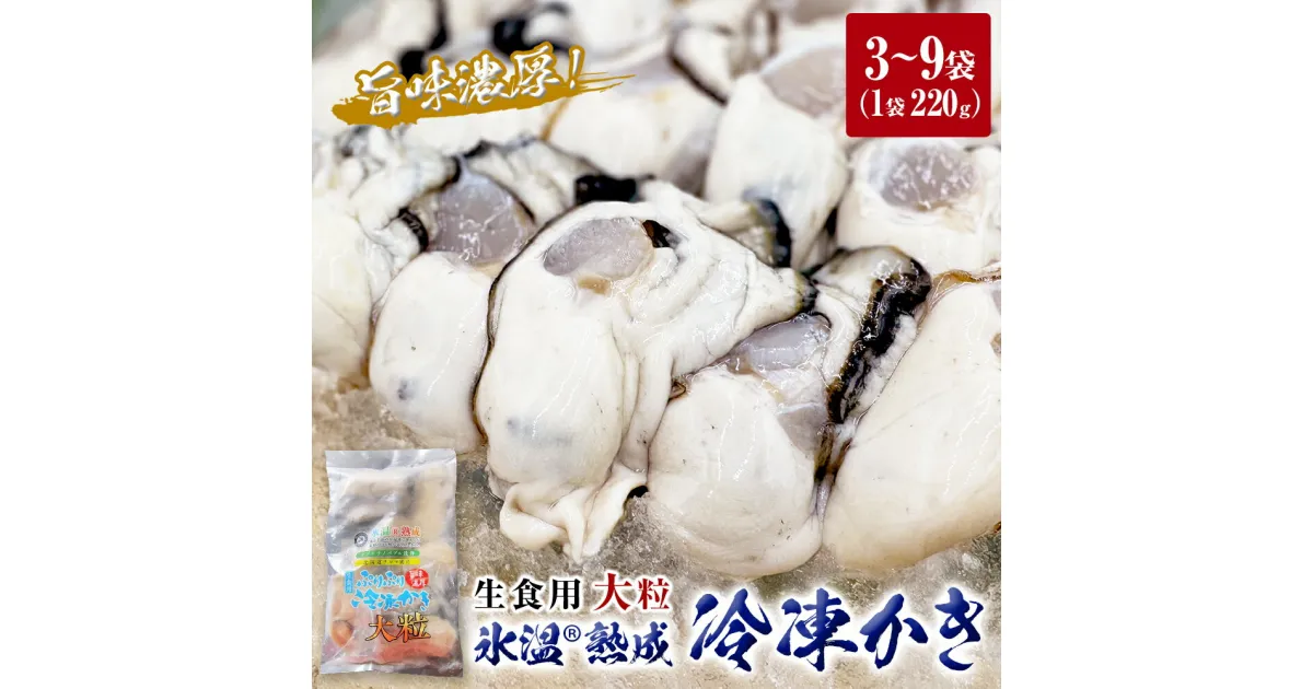 【ふるさと納税】牡蠣 氷温熟成 冷凍 かき ( 生食用 ) 大粒 220g× 3～9パック 選べる カキ 冷凍牡蠣 冷凍 国産 北海道産 生 剥き牡蠣 濃厚 旨味 むき身