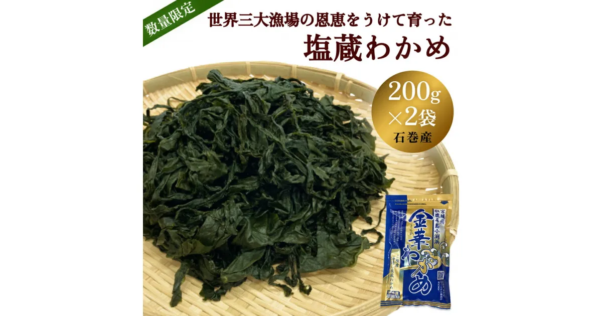 【ふるさと納税】わかめ 世界三大漁場の恩恵をうけて育った 塩蔵わかめ 400g（200g×2）小分け わかめ 三陸産わかめ 肉厚 歯応え 宮城県 石巻市