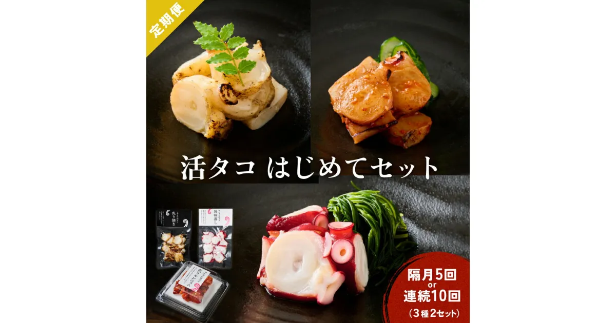 【ふるさと納税】活タコ はじめてセット 炙り焼き 旨味蒸し ヤンニョム 定期便 2セット 隔月5回 または 毎月10回 たこ タコ おかず おつまみ