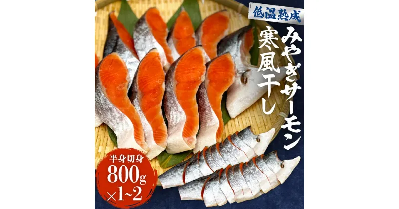 【ふるさと納税】みやぎ サーモン 寒風干し 800g×1-2　 宮城県産銀鮭 銀鮭 鮭 さけ サケ シャケ 切り身 おかず ご飯のお供 弁当 熟成 高品質 高鮮度