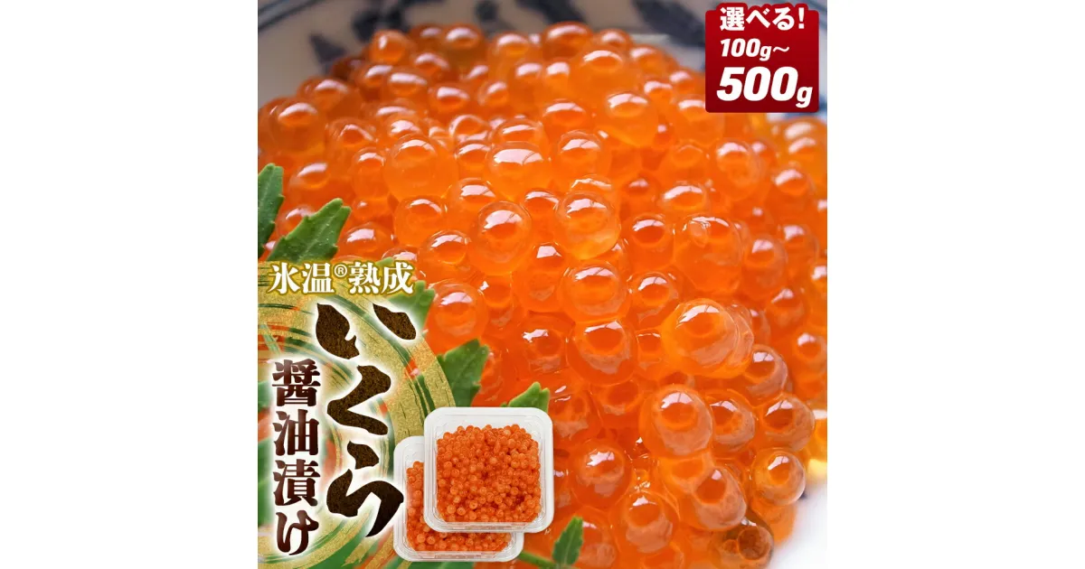 【ふるさと納税】数量限定 いくら 醤油漬け ( 50g×2p ) × 1-5袋 合計100g 200g 300g 400g 500g 氷温熟成 イクラ 魚卵 小分け 冷凍 マス 海鮮 魚介 魚 漬け 丼 鱒子 鱒卵 プチプチ 熟成 後味 スッキリ1袋 2袋 3袋 4袋 5袋 鮭いくら じゃない 小粒 年末 正月 お祝い