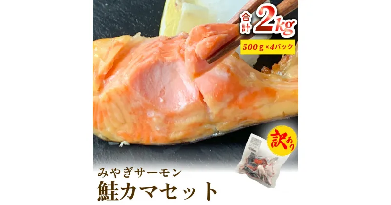 【ふるさと納税】訳あり みやぎサーモン鮭カマセット さけ 銀鮭 切り身 冷凍 焼き魚 おかず おつまみ 美味しい