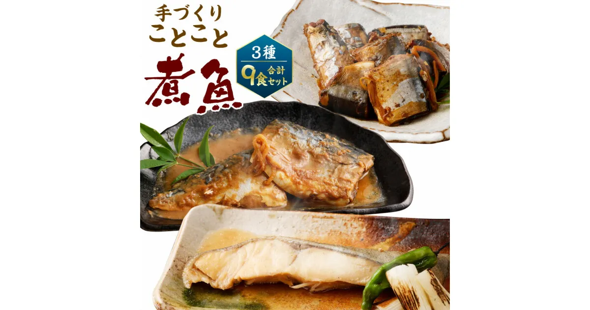 【ふるさと納税】＜手づくり＞ ことこと煮魚セットA 合計9食（3種×3食）ナチュラル・キッチン・たらや 金華さば 鯖 仙台 みそ煮 白ひらす しょうが煮 さんま 秋刀魚 佃煮 煮魚 煮込み おかず 魚 魚介類 レンジで簡単 温めるだけ