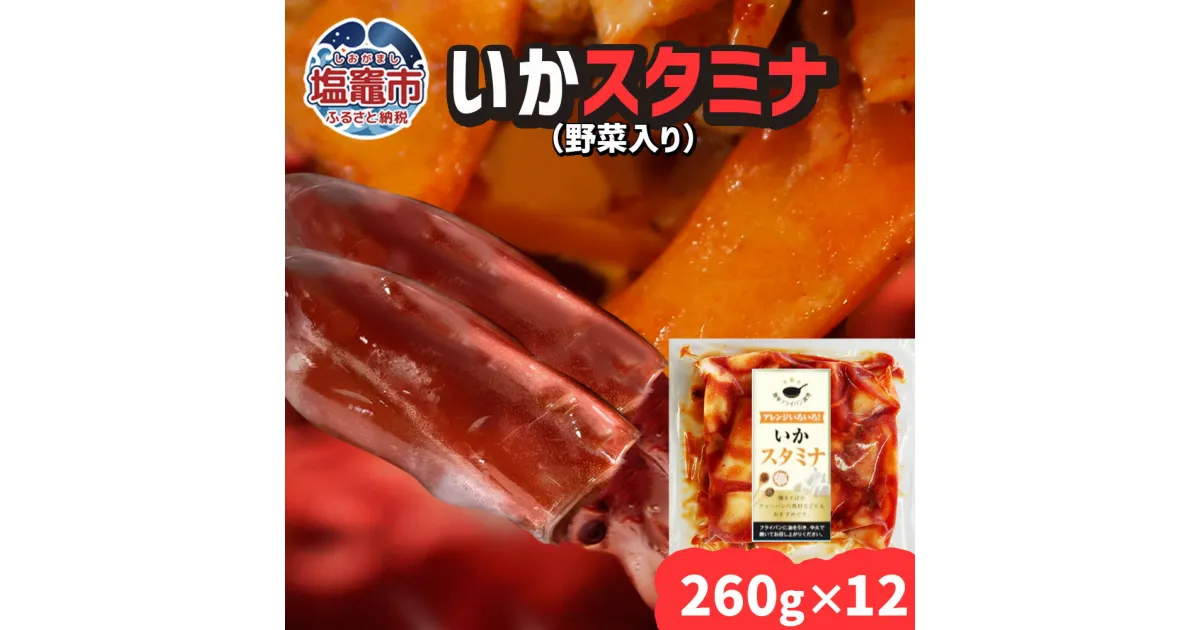 【ふるさと納税】 いか スタミナ （野菜入り）12パック(260g×12) 冷凍 真空パック 加熱用 ｜ バーベキュー キャンプ 時短 サッと一品 イカ 魚介類 おかず 惣菜 レンジ レンチン 簡単調理 宮城県 塩竈市 三晃食品 烏賊